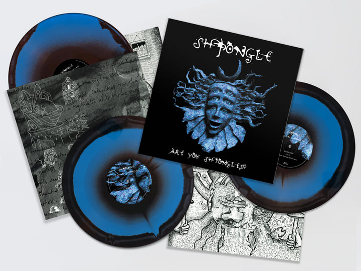 Are You Shpongled? (Remastered) | Shpongle