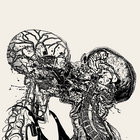 szugar thumbnail