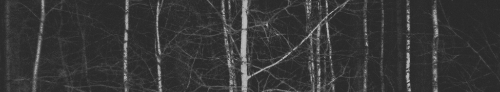 Dryrot — Photo