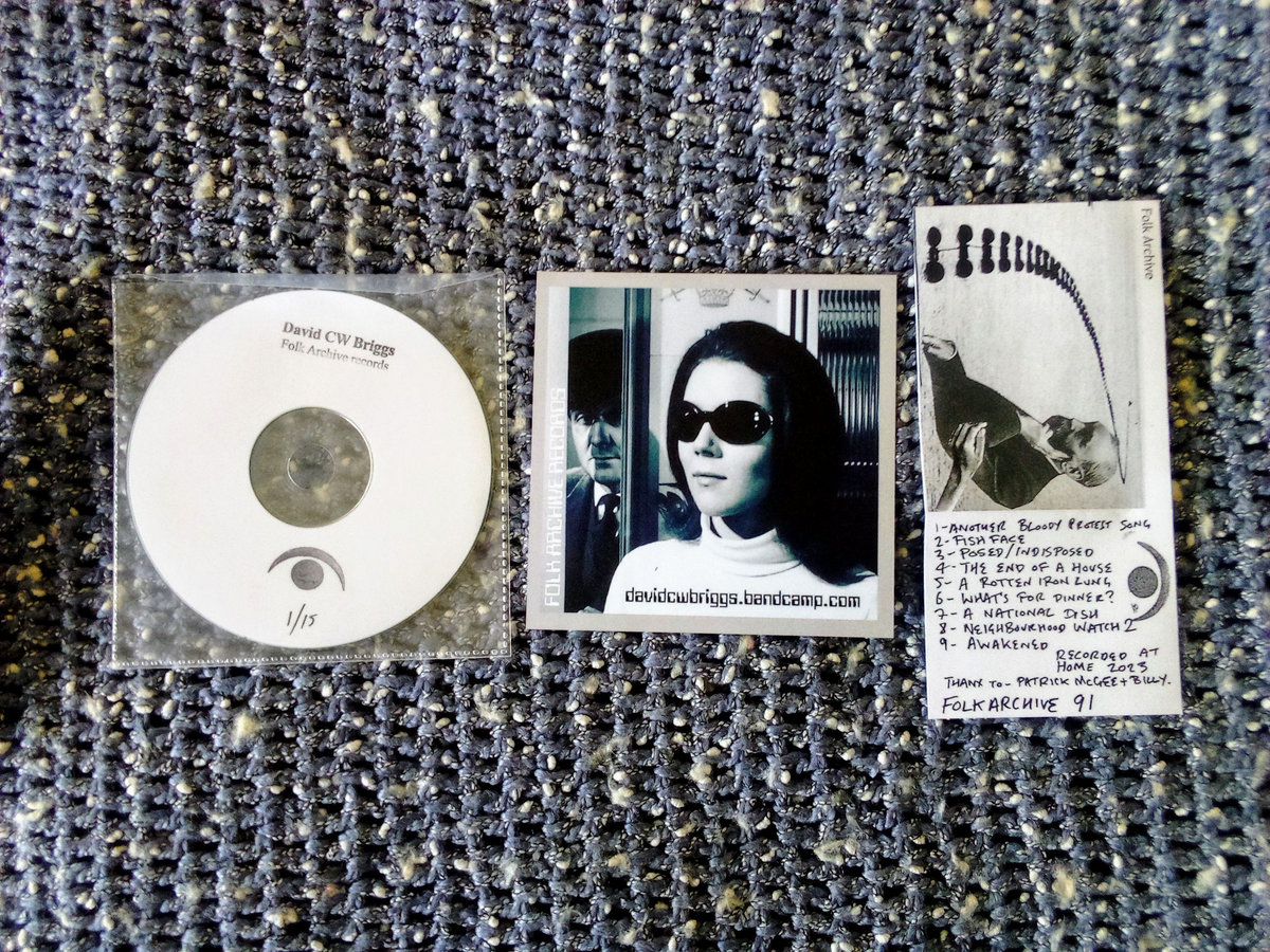 A Rotten Iron Lung David CW Briggs