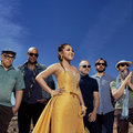 Dengue Fever photo