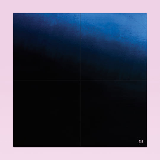 Flying Wig | Devendra Banhart