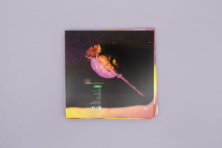Pod | The Breeders