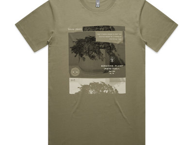 Sensitive Plant T-Shirt main photo