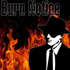 BURN NOTICE thumbnail
