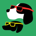 Version Excursions | The Dynamics | Favorite Recordings