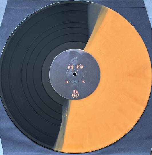 DAT004LP Subjects - Evolution | Subjects | Deep Jungle Records
