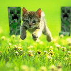 La_la_la_la_la thumbnail