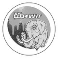 The Elephant image