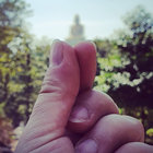 ixnzet thumbnail