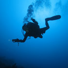 deepdiverx thumbnail