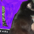earspaintedon thumbnail
