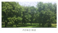 Fencing image