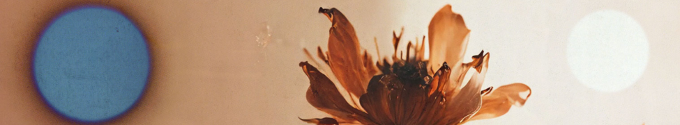 Postdata — Photo