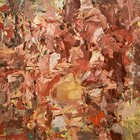 paul cooper thumbnail