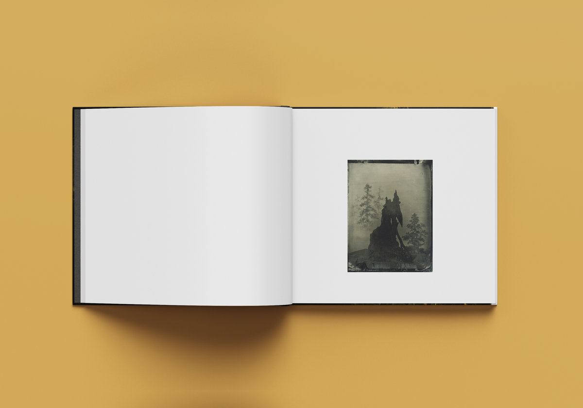 Fine Art Book 150 Limited Edition (Signed) / HandNumbered, Hand