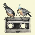 two round robins image