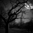 Benjamin-Slender thumbnail