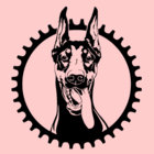 retinacircus thumbnail