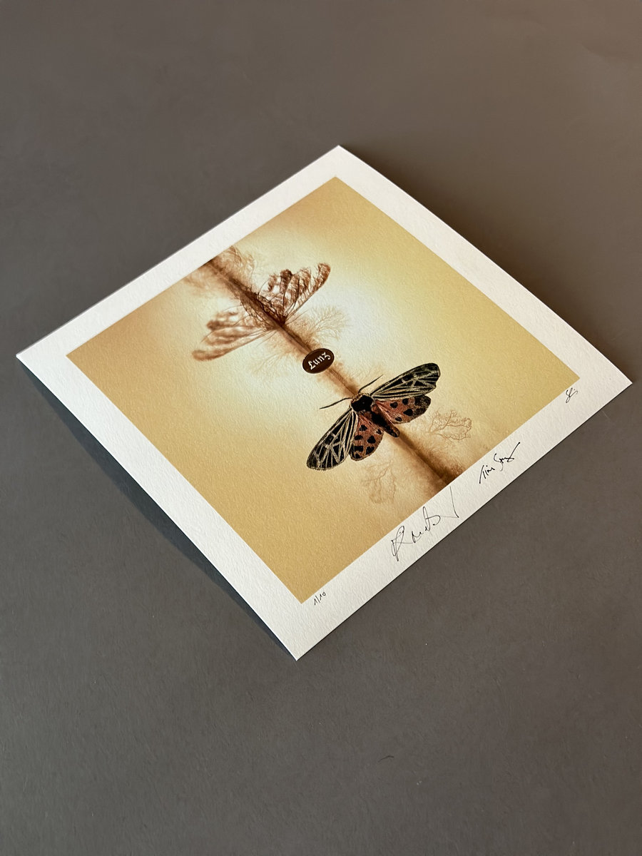 Lunz | Tim Story and Hans-Joachim Roedelius | Curious Music