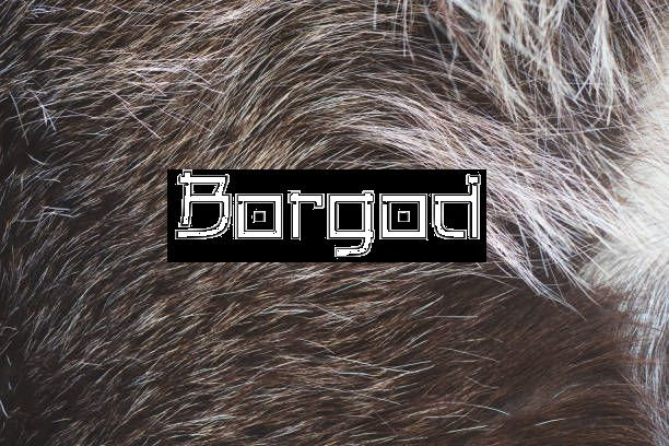 Building, Burning, Rising (Demo) | Borgod