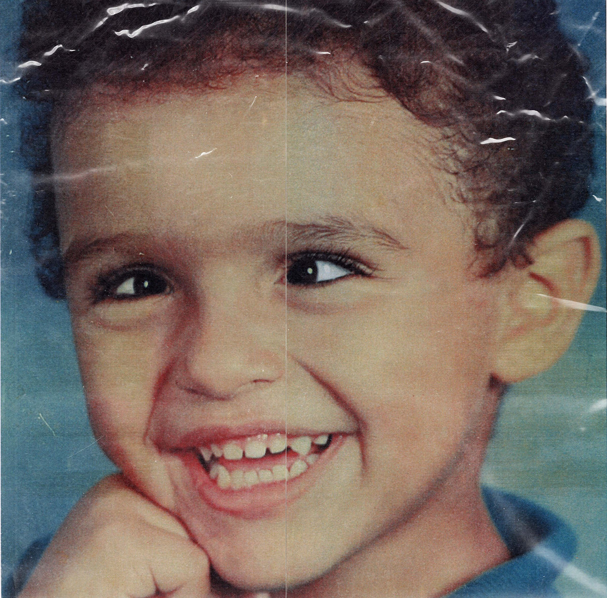 avocado-jungle-neobyrd