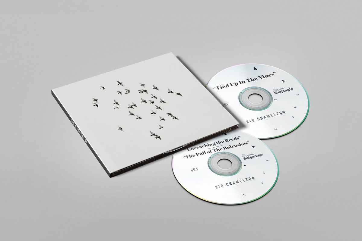 Steven Rees Secundo Kid Chameleon (3 albums: 'Unreaching The Reeds (I)', 'The Pull of the ...