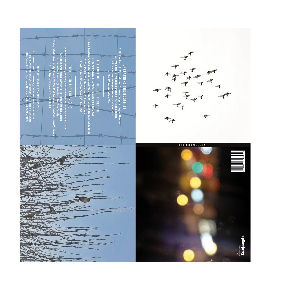 Steven Rees Secundo Kid Chameleon (3 albums: 'Unreaching The Reeds (I)', 'The Pull of the ...