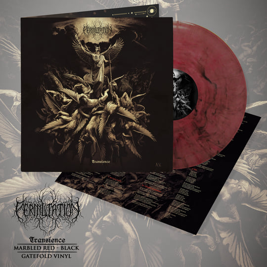 Transience | PERMUTATION