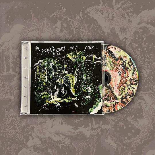 HIKAGE / Light My Wounds サイン入りCD HIKAGE / Light My Wounds サイン入りCD 【公式通販】