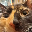 archiecooper thumbnail