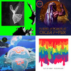 Joey Negro presents Nu Disco Daze & Re-Edit Nights | Z Records