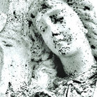 moldspore thumbnail