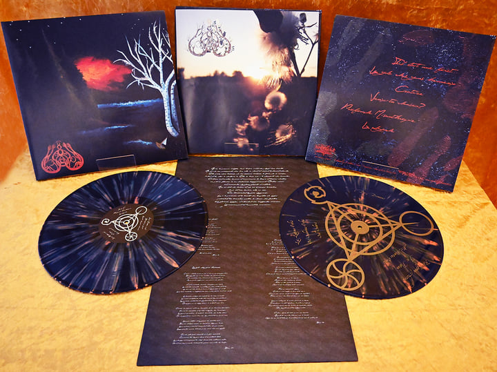 Il Etait Une Foret - Gris: Amazon.de: Musik