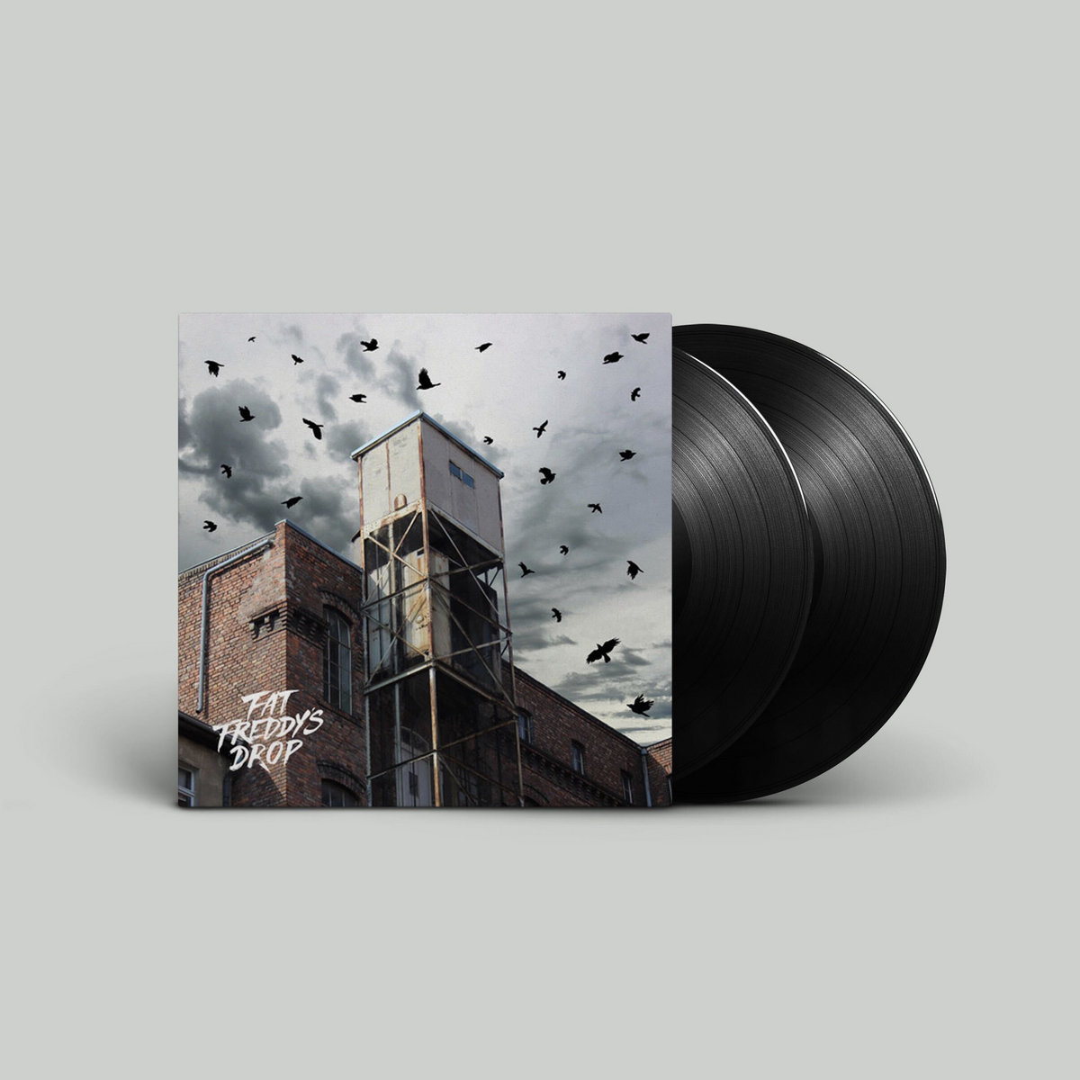 BLACKBIRD RETURNS | Fat Freddy's Drop