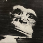 欧LP Musica Elettronica Viva The Sound Pool 529326 BYG Records /00400 The Sound Pool | Musica Elettronica Viva | BYG Records