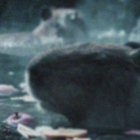 twimbly thumbnail