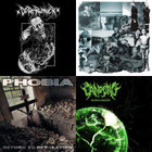 Return to Desolation | Phobia