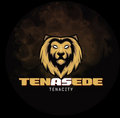 Tenasede Inc. image