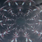 nof8w76tyewh84 thumbnail