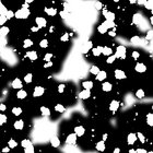 samb020202 thumbnail