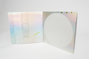 senselessly balansed gatefold 12'' vinyl record, image 3