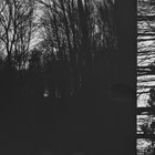 deconstructionist  thumbnail