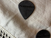 Engraved Guitar Picks Pantheïst Logo photo 