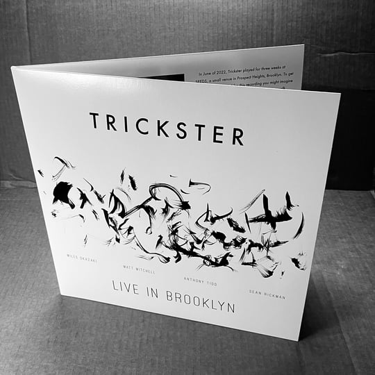 Trickster: Live in Brooklyn | TRICKSTER - LIVE IN BROOKLYN