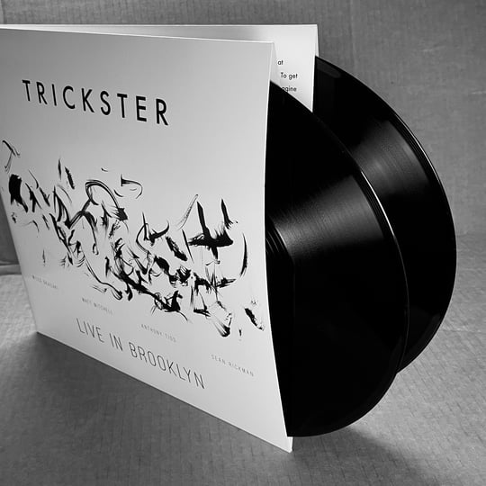Trickster: Live in Brooklyn | TRICKSTER - LIVE IN BROOKLYN