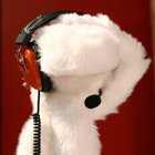 animalite thumbnail