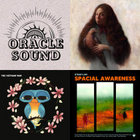 欧LP Various Calling 1000 Dread Locks (A面プレスミスあり) HS15 Chalwa/Hornin Sounds /00220 Calling 1000 Dread Locks | Various Artists | Hornin' Sounds