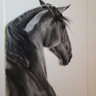 caroline_insisa_art thumbnail