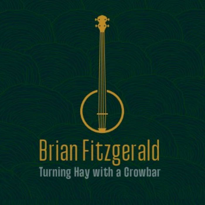 Brian Fitzgerald cover
